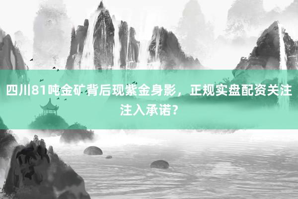 四川81吨金矿背后现紫金身影，正规实盘配资关注注入承诺？