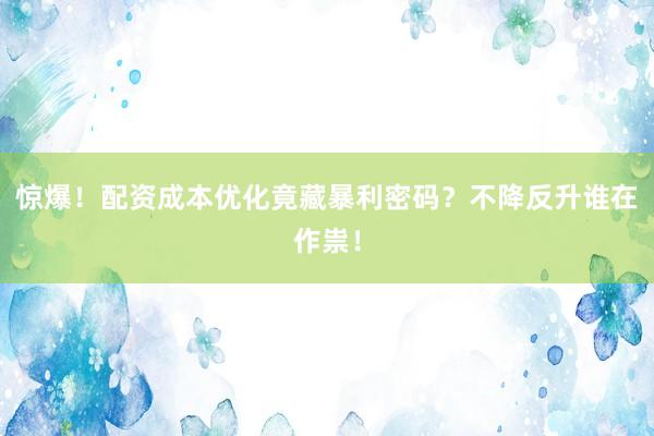 惊爆！配资成本优化竟藏暴利密码？不降反升谁在作祟！