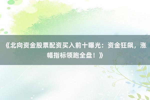 《北向资金股票配资买入前十曝光：资金狂飙，涨幅指标领跑全盘！》
