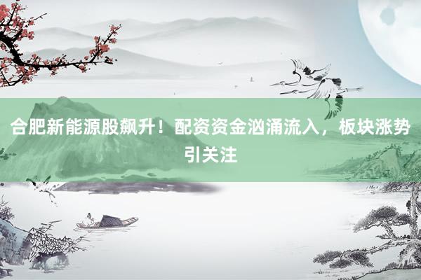合肥新能源股飙升！配资资金汹涌流入，板块涨势引关注