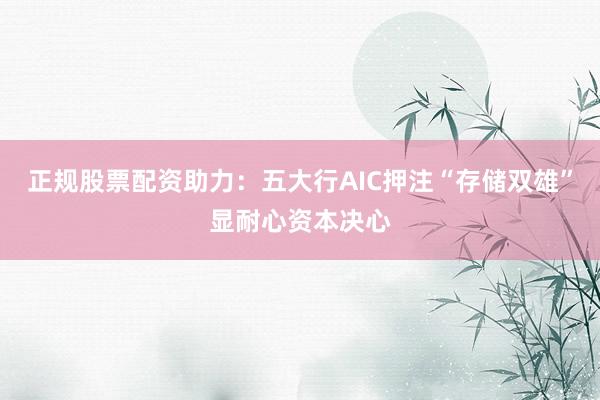 正规股票配资助力：五大行AIC押注“存储双雄”显耐心资本决心