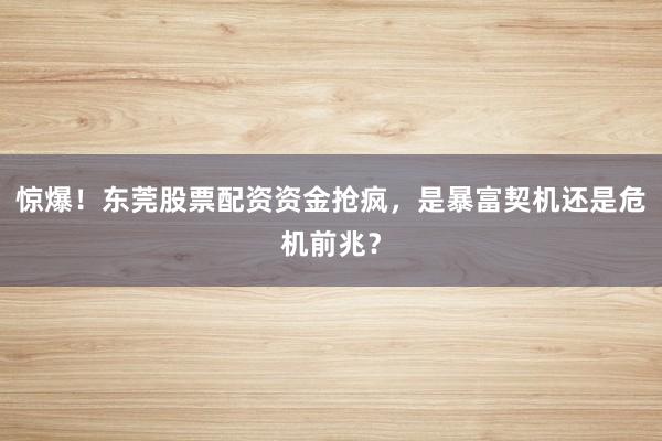 惊爆！东莞股票配资资金抢疯，是暴富契机还是危机前兆？