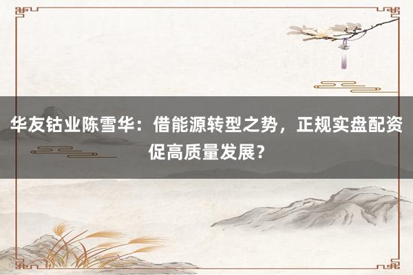 华友钴业陈雪华：借能源转型之势，正规实盘配资促高质量发展？