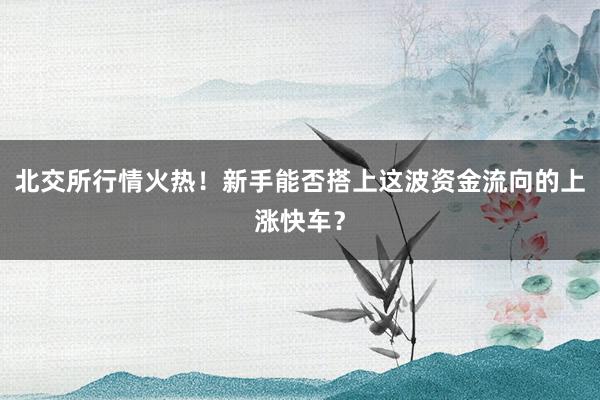 北交所行情火热！新手能否搭上这波资金流向的上涨快车？