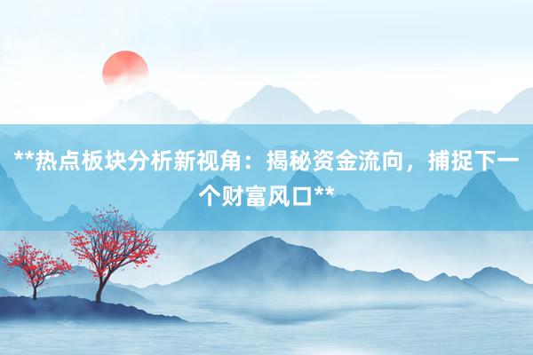 **热点板块分析新视角：揭秘资金流向，捕捉下一个财富风口**
