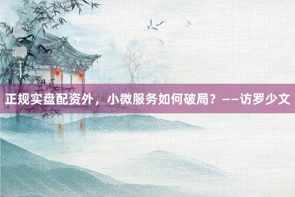 正规实盘配资外，小微服务如何破局？——访罗少文