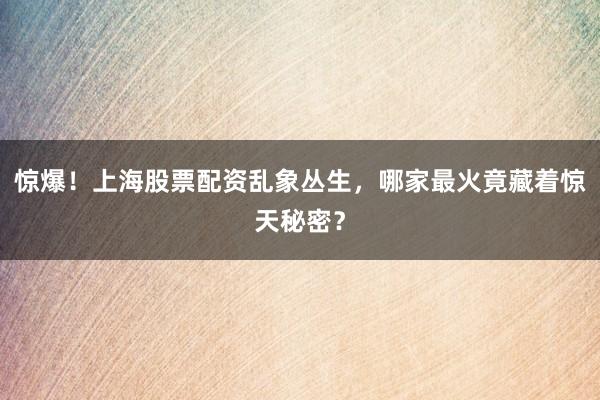 惊爆！上海股票配资乱象丛生，哪家最火竟藏着惊天秘密？