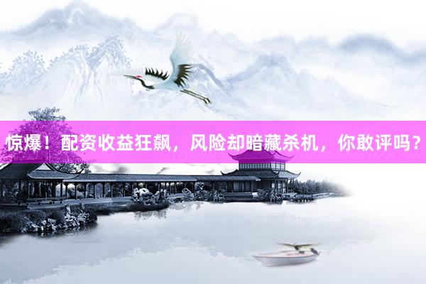 惊爆！配资收益狂飙，风险却暗藏杀机，你敢评吗？