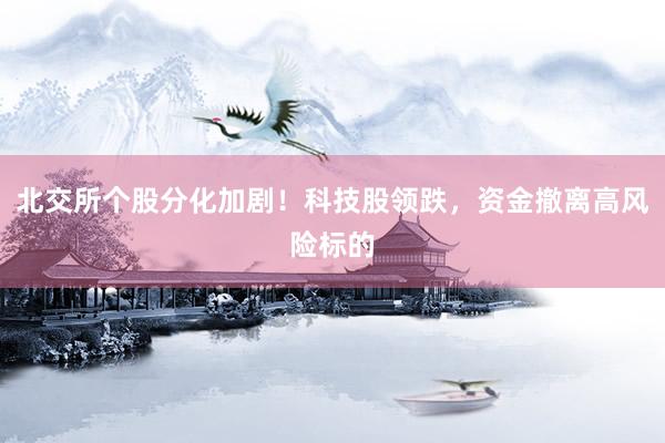 北交所个股分化加剧！科技股领跌，资金撤离高风险标的
