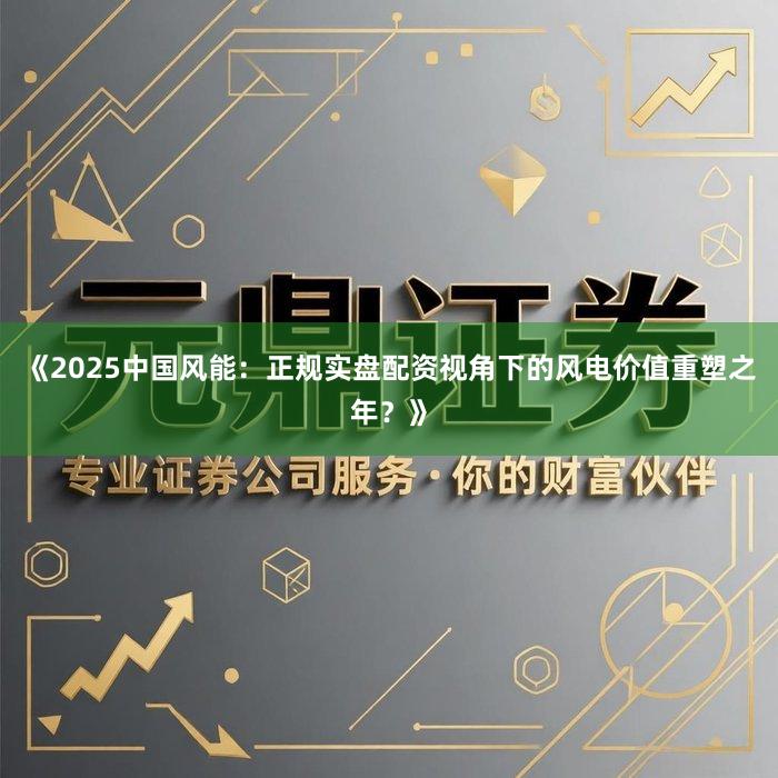 《2025中国风能：正规实盘配资视角下的风电价值重塑之年？》