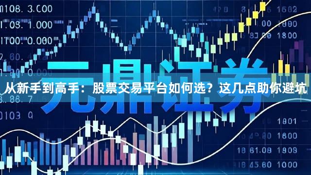 从新手到高手：股票交易平台如何选？这几点助你避坑