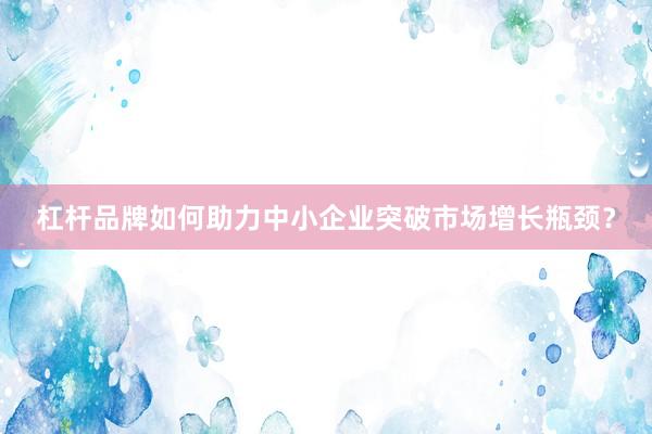 杠杆品牌如何助力中小企业突破市场增长瓶颈？