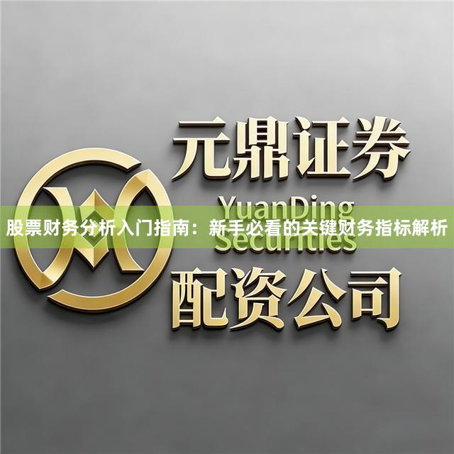 股票财务分析入门指南：新手必看的关键财务指标解析