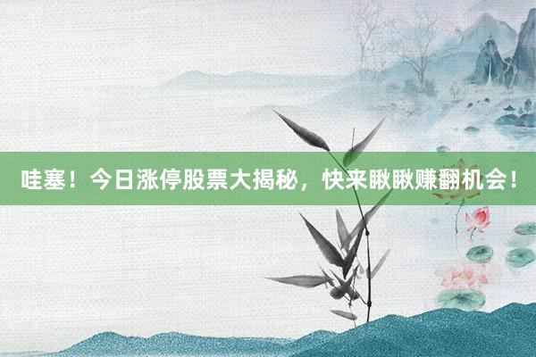 哇塞！今日涨停股票大揭秘，快来瞅瞅赚翻机会！