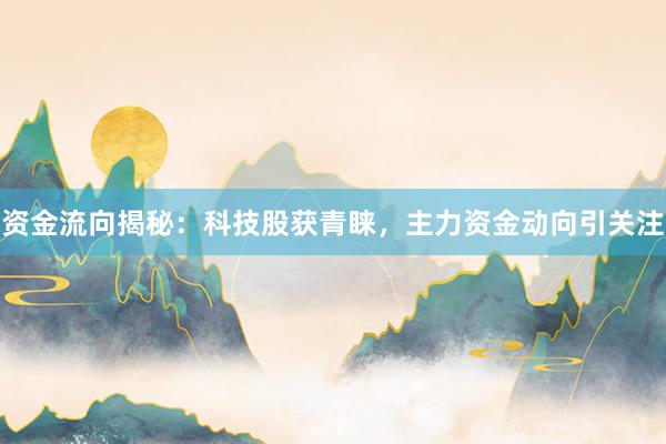 资金流向揭秘：科技股获青睐，主力资金动向引关注