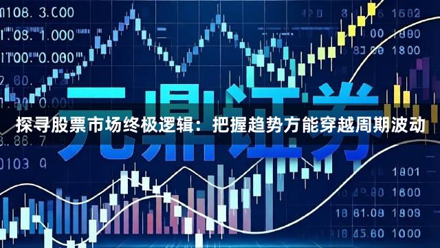 探寻股票市场终极逻辑：把握趋势方能穿越周期波动