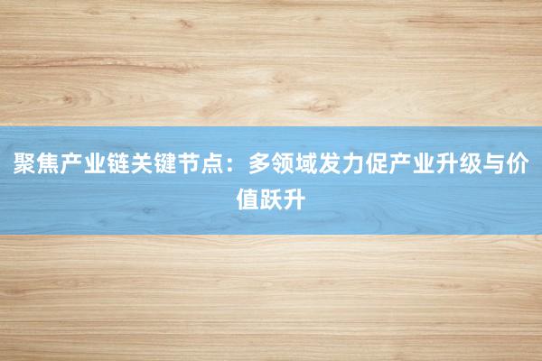 聚焦产业链关键节点：多领域发力促产业升级与价值跃升