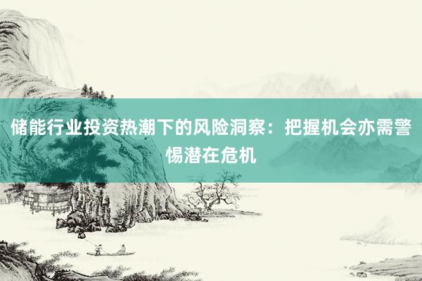 储能行业投资热潮下的风险洞察：把握机会亦需警惕潜在危机