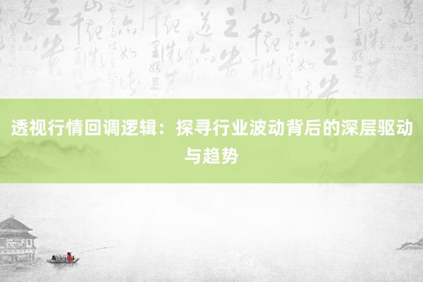 透视行情回调逻辑：探寻行业波动背后的深层驱动与趋势